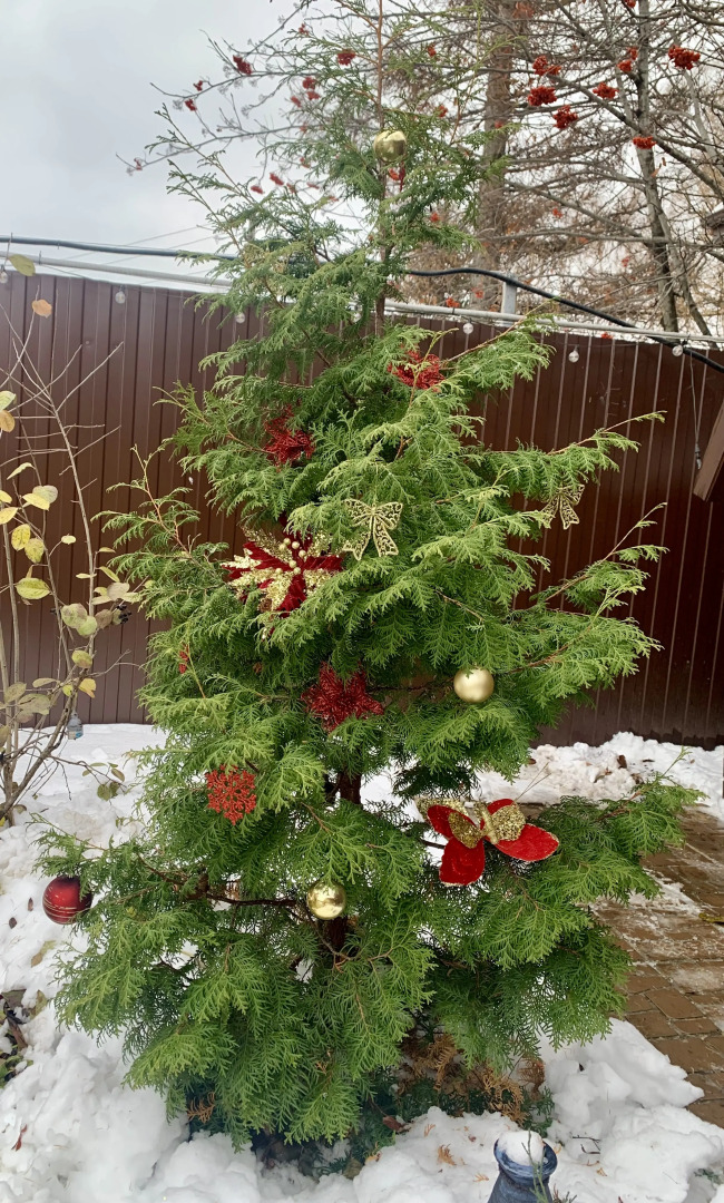 Частный Дом Вблизи Моря с Зоной BBQ