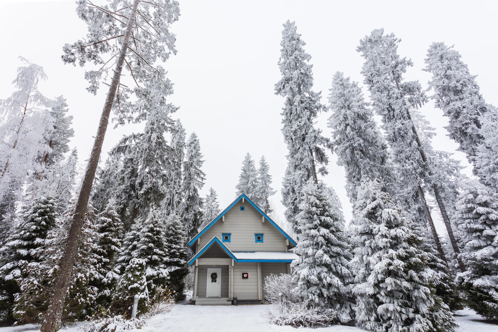 Отель Курорт Игора