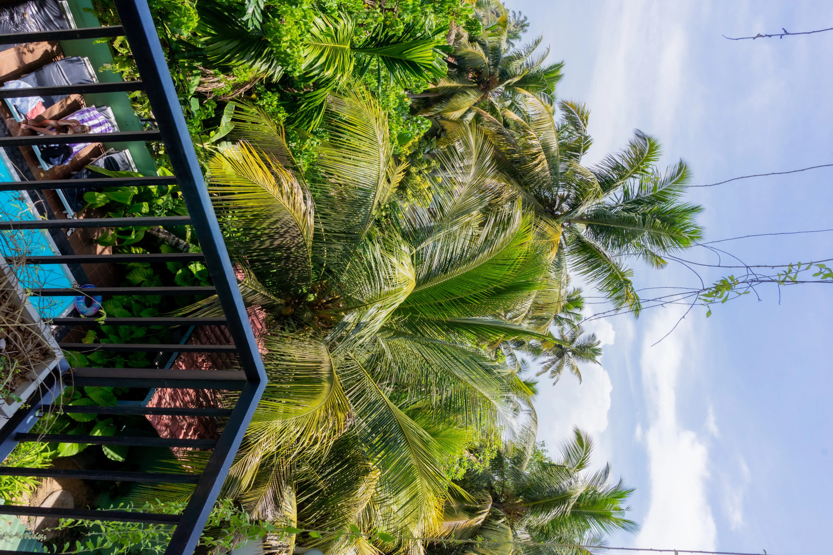 Отель Sea Сloud