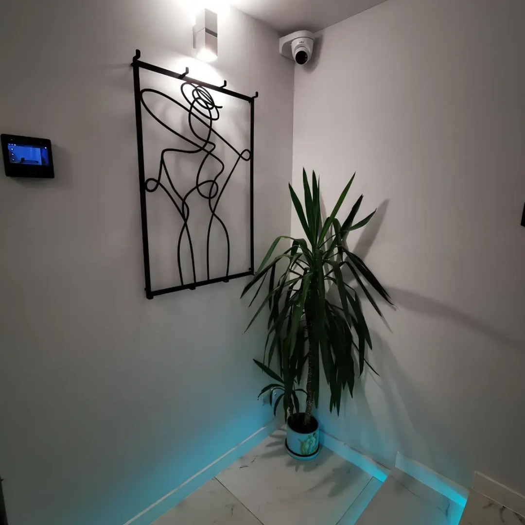 Апартаменты Роскошные на Ветеранов