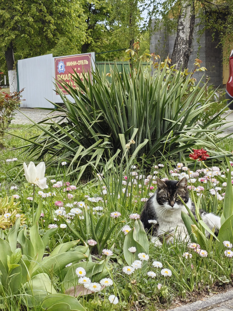 Гостевой дом Тихая Гавань