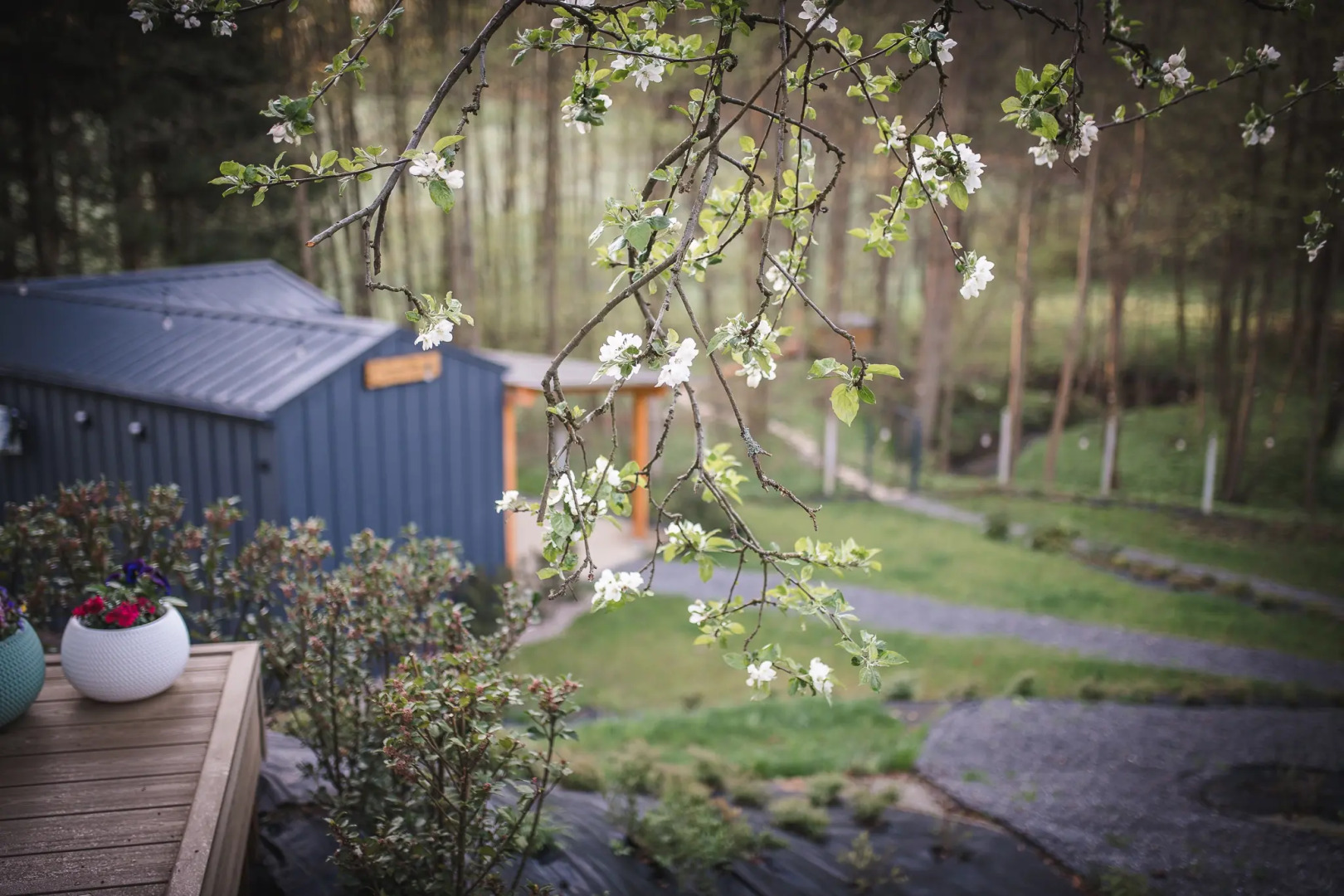 Глэмпинг Stare Sady Kopytówka Domki pod Krakowem