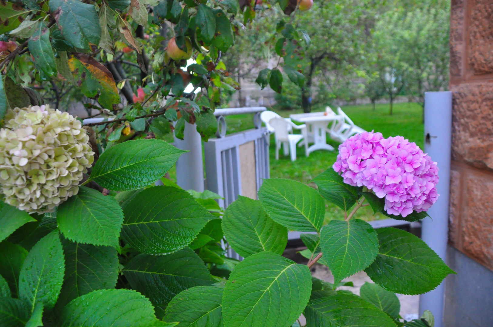 Гостевой дом Kamar