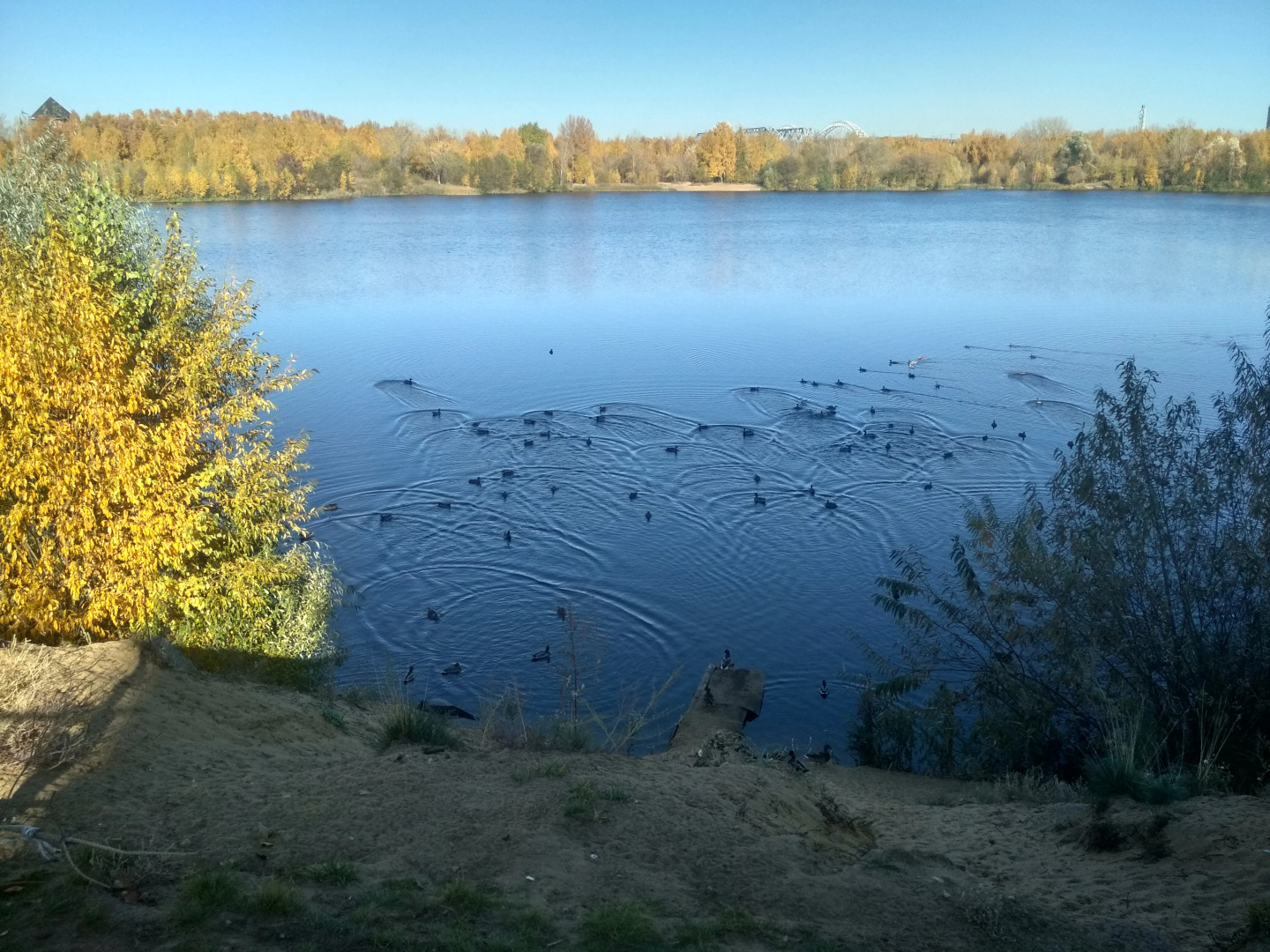 Квартира 1-комнатная Квартира Сеть Апартаментов Триче