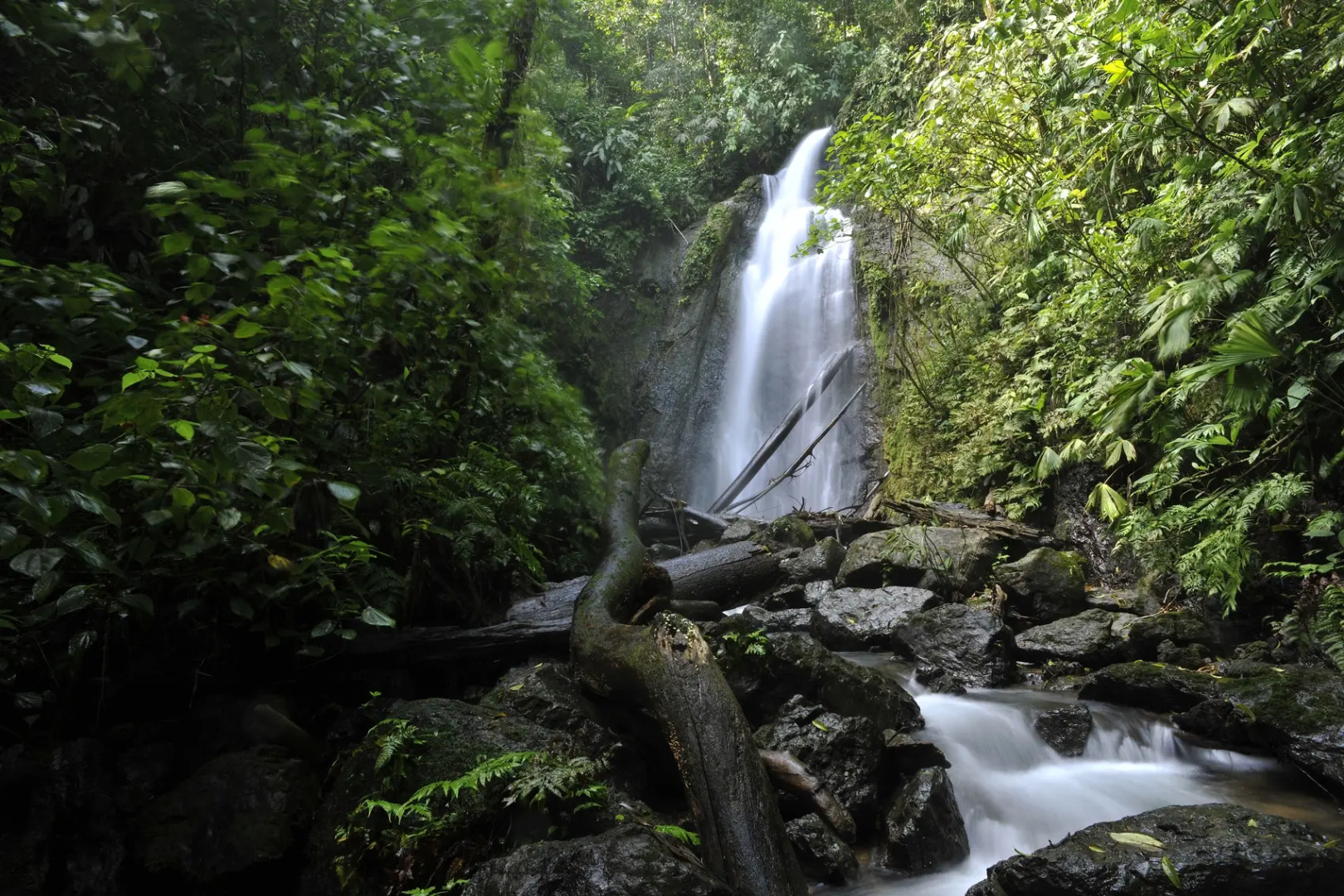 Отель Casa Drake Lodge