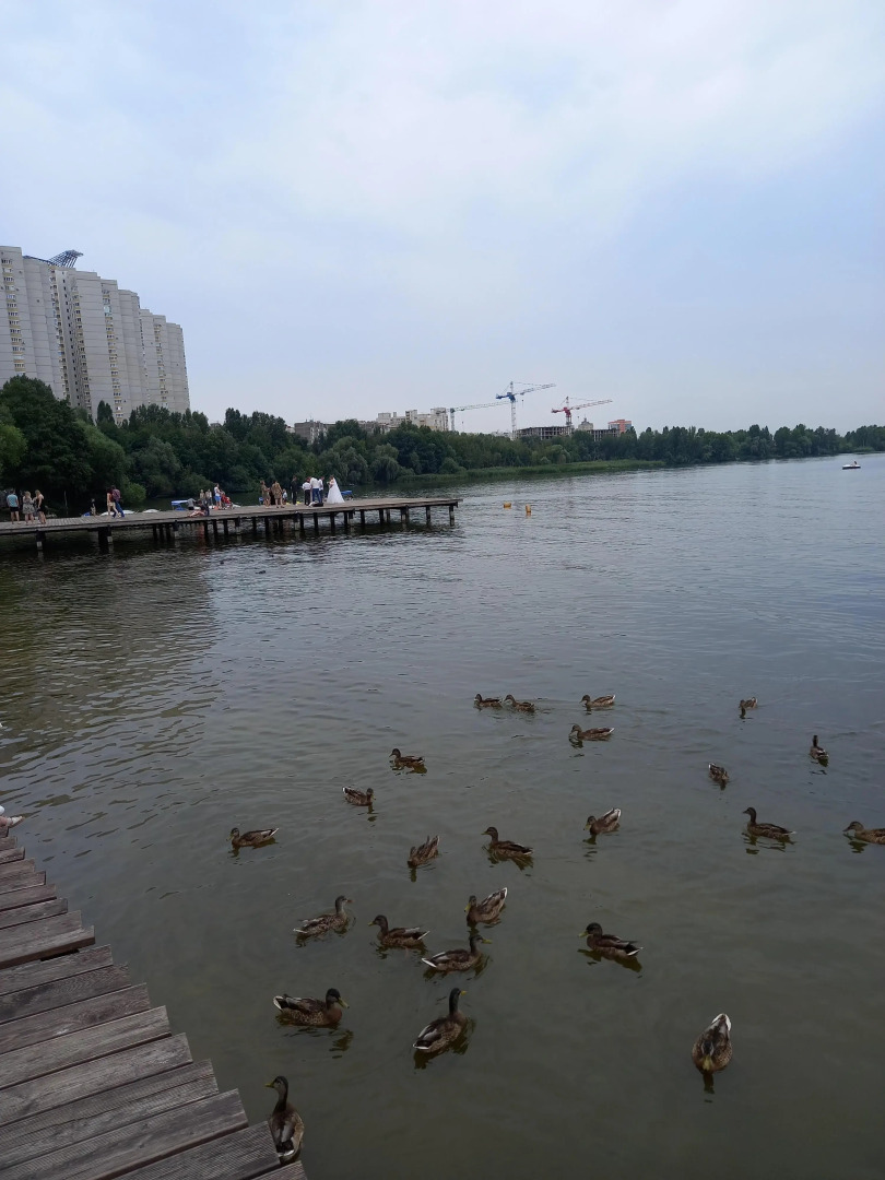 Апартаменты Уютная квартира в центре Левого берега