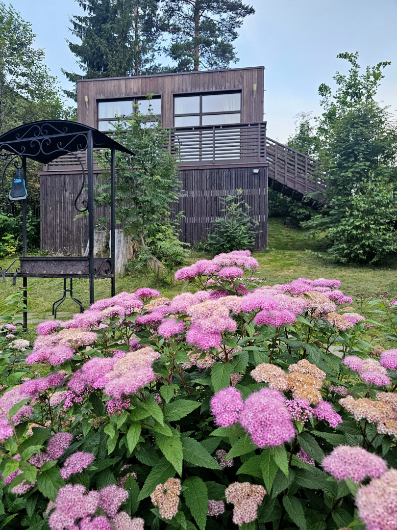 Коттедж Черничный Склон Lime House