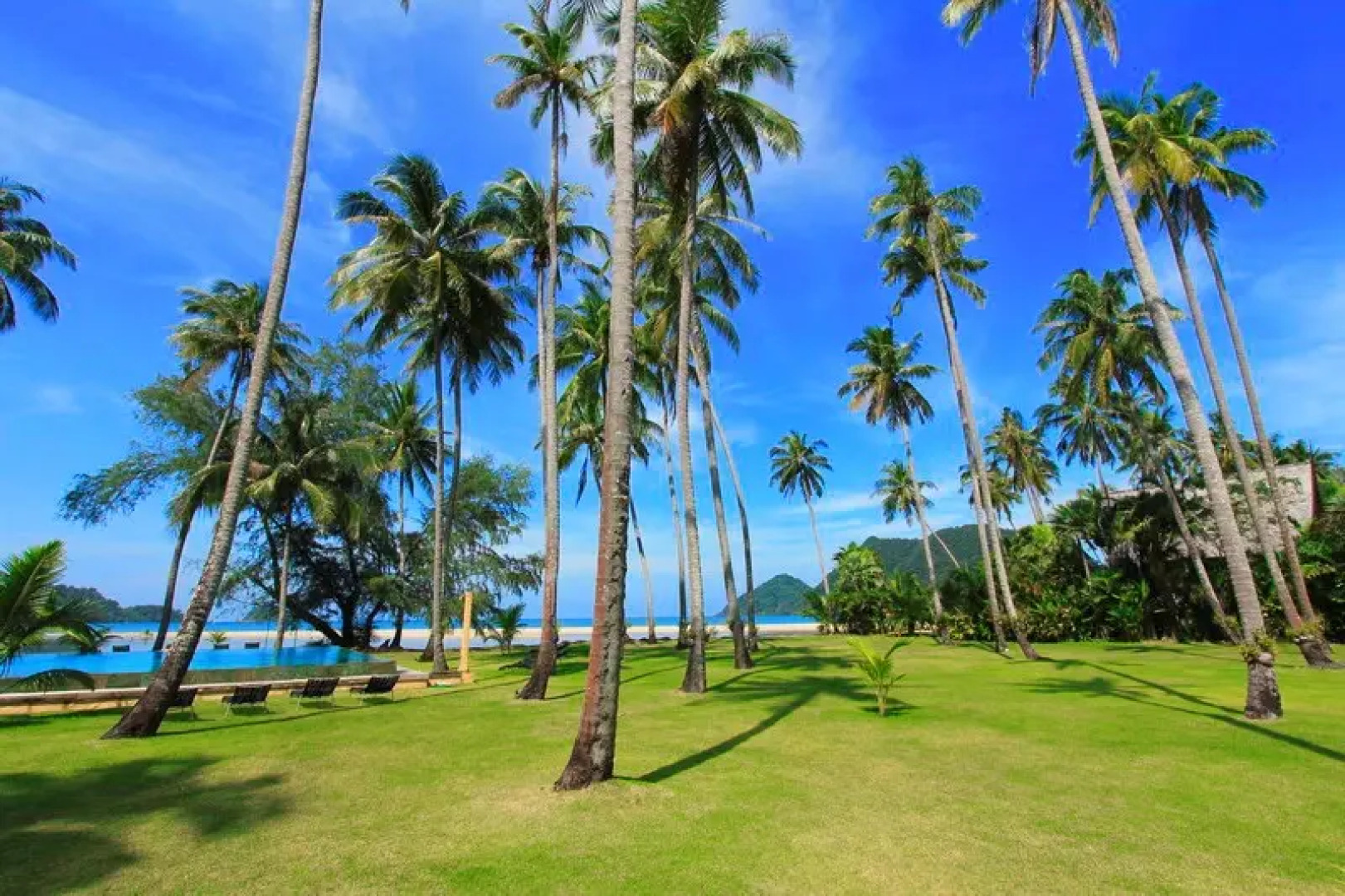 Апартаменты Siam Royal View