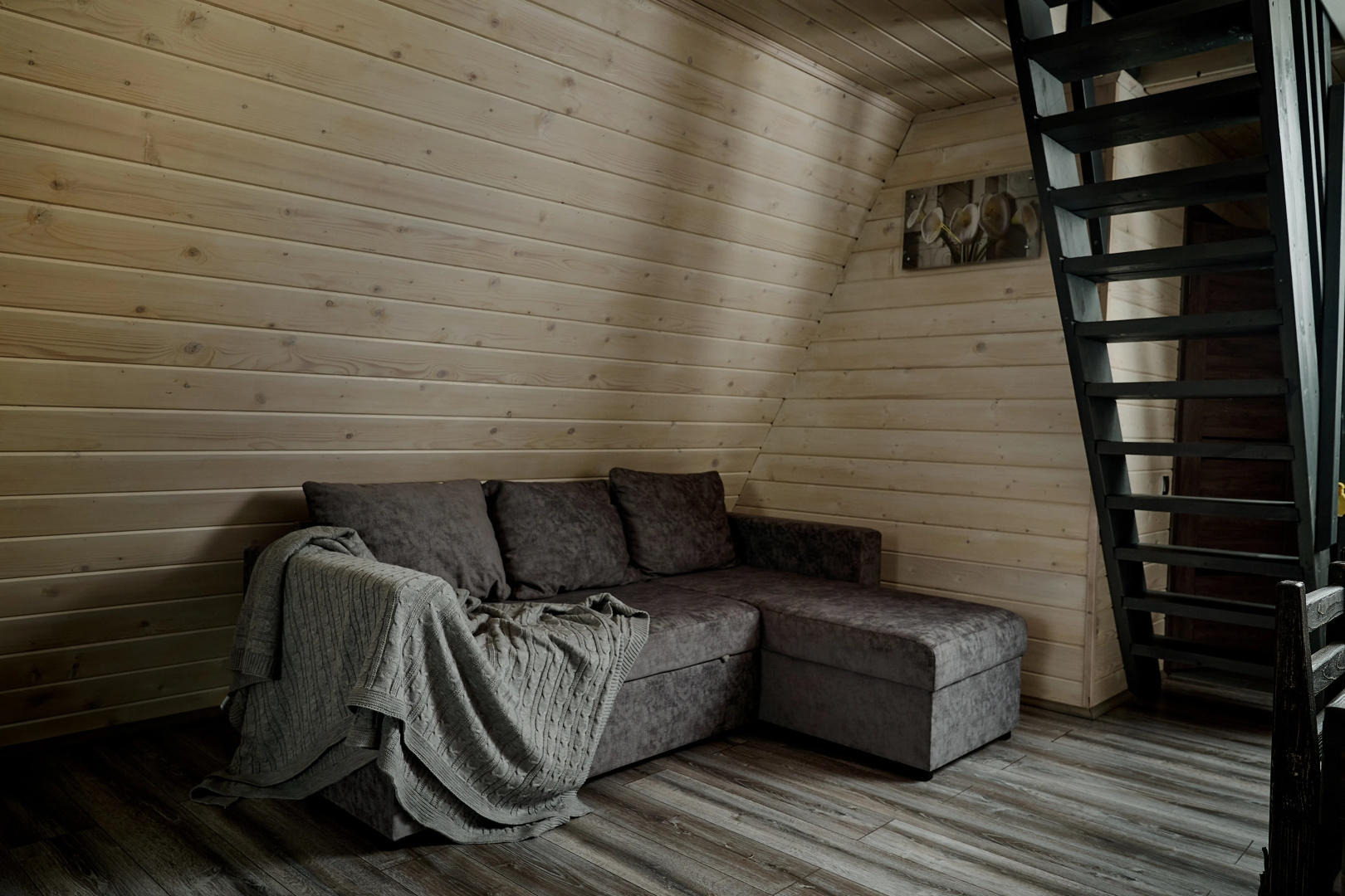 Гостевой дом Dream House in Karelia