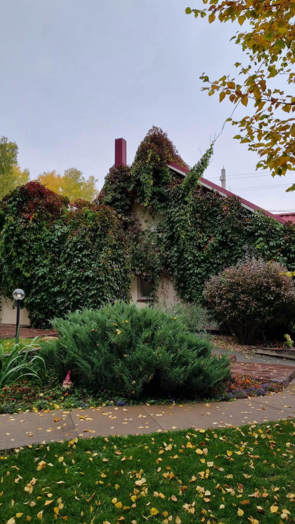 Гостевой Дом Каменный Цветок