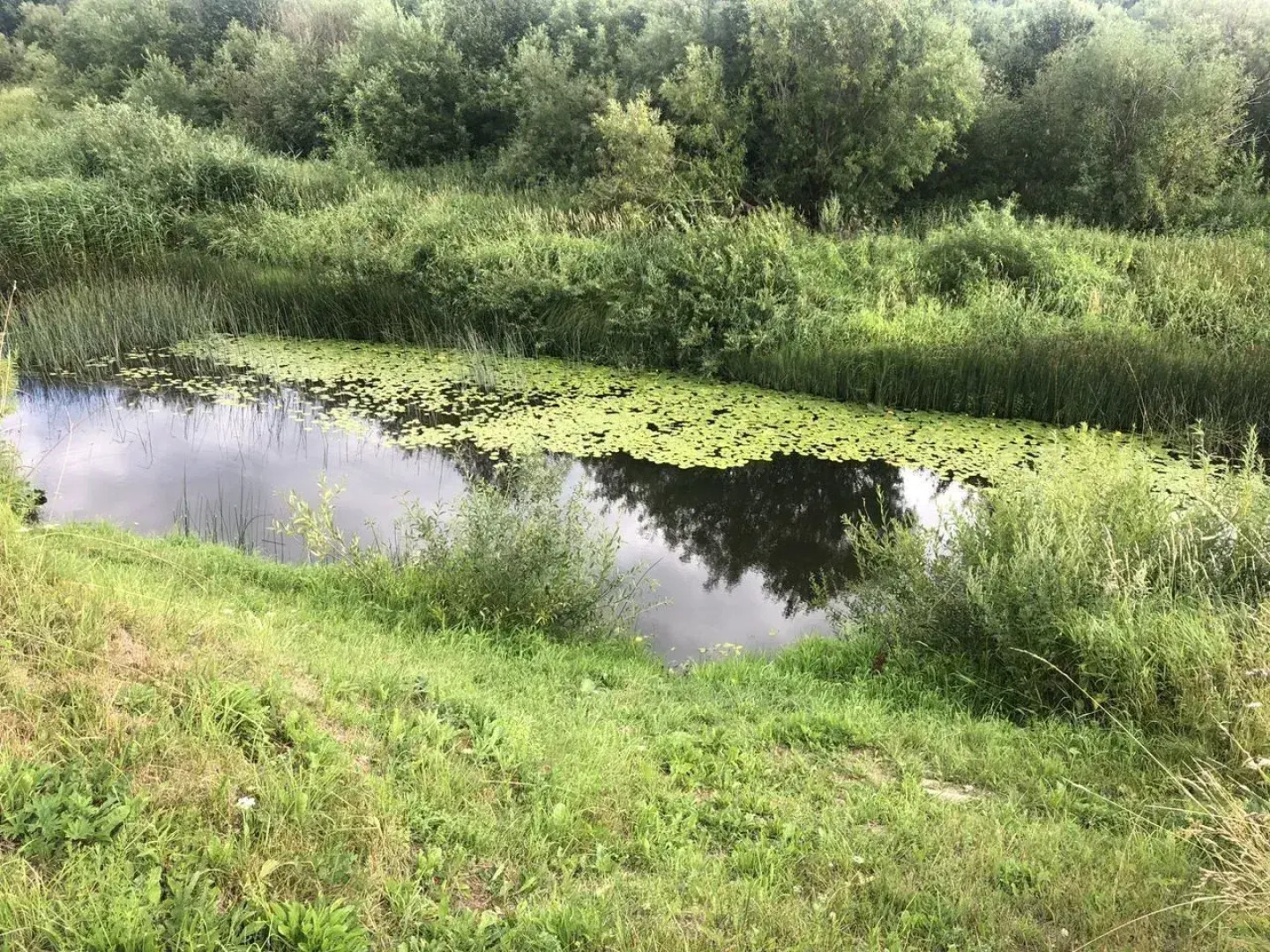 Частный Дом на 7 Человек Kлёвое Место