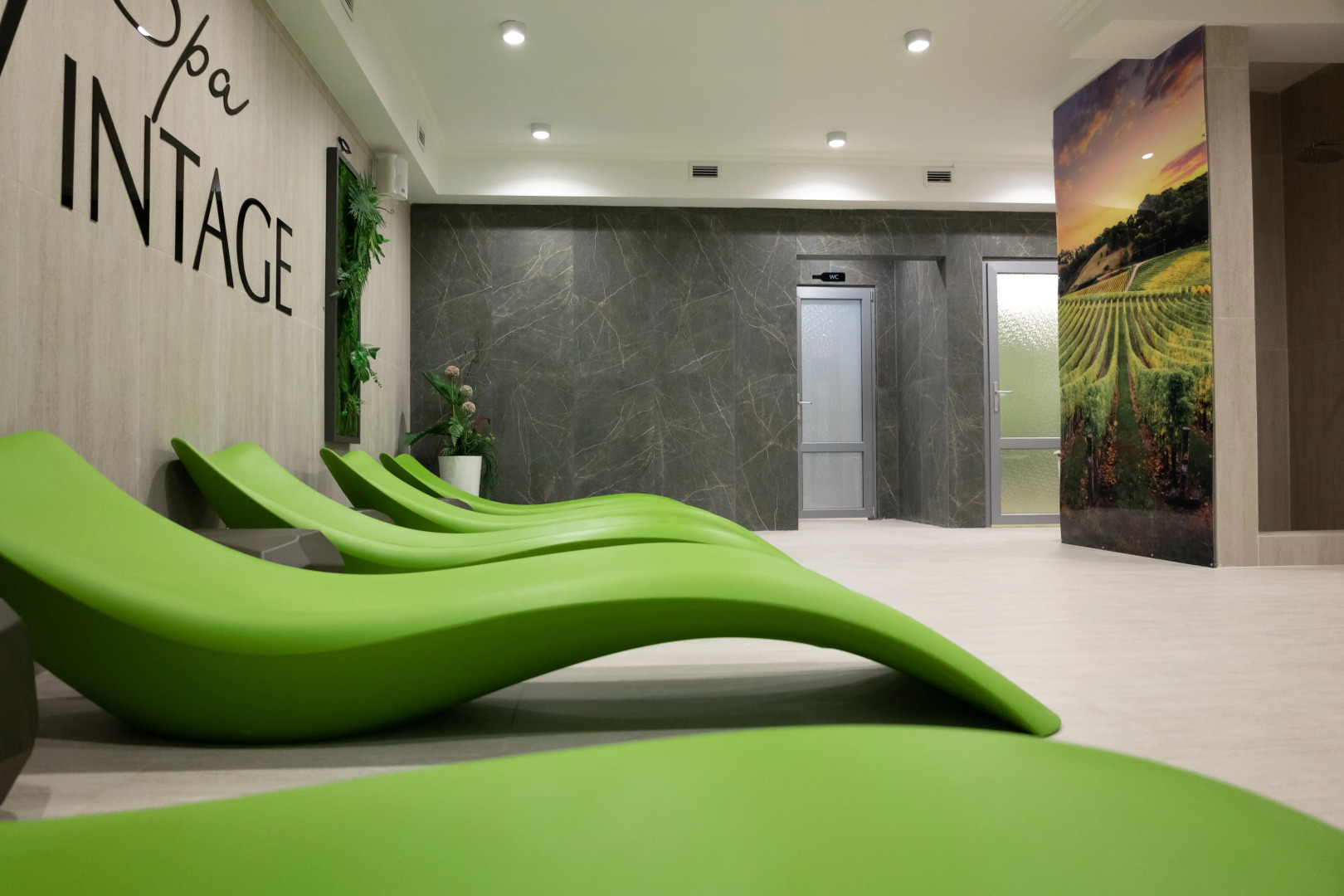 Отель Spa Hotel VINTAGE