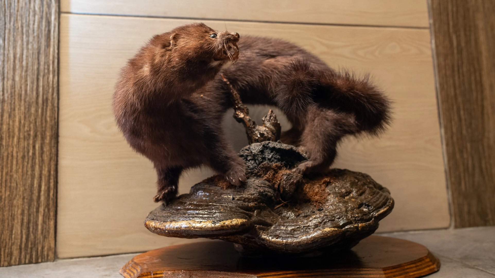 Гостевой дом Олимпия