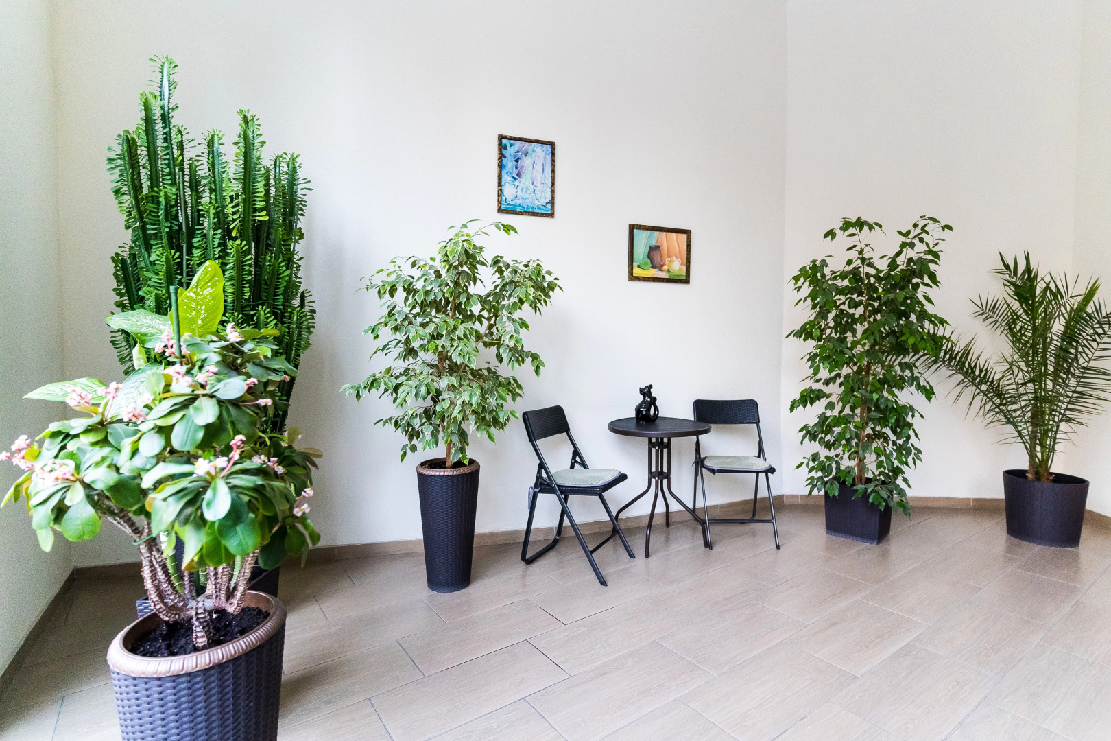 Апартаменты в Средиземноморском стиле от LetoApart