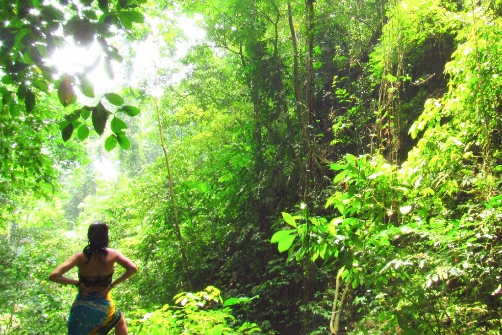 Moon Hill Resort Munnar ( Nature Retreat )