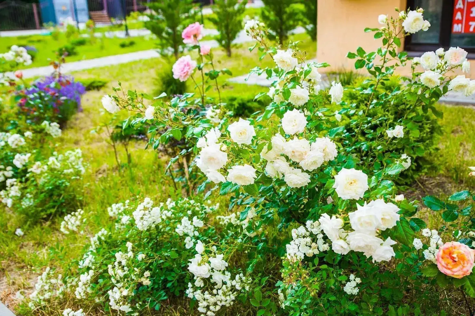 Апартаменты Скала Парус Alt