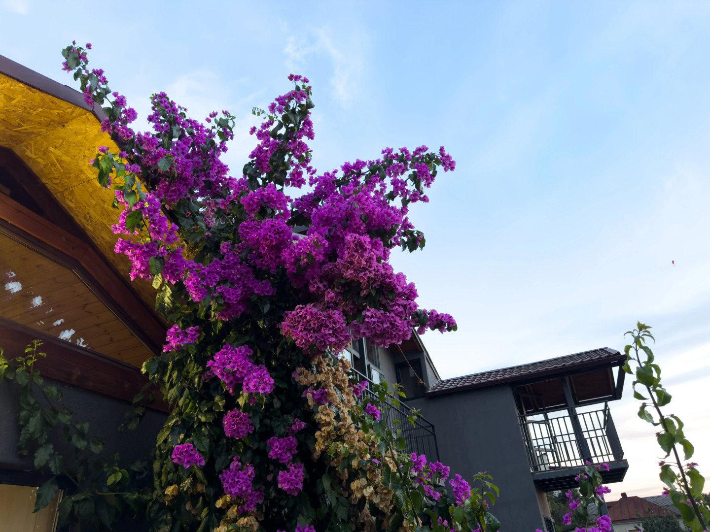 Отель Аимара