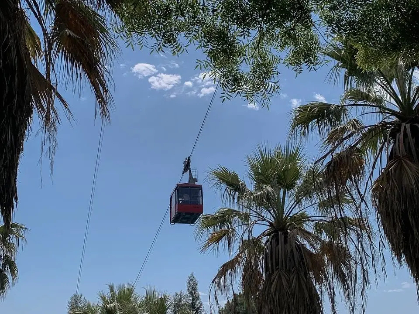 Апартаменты Пальма 3