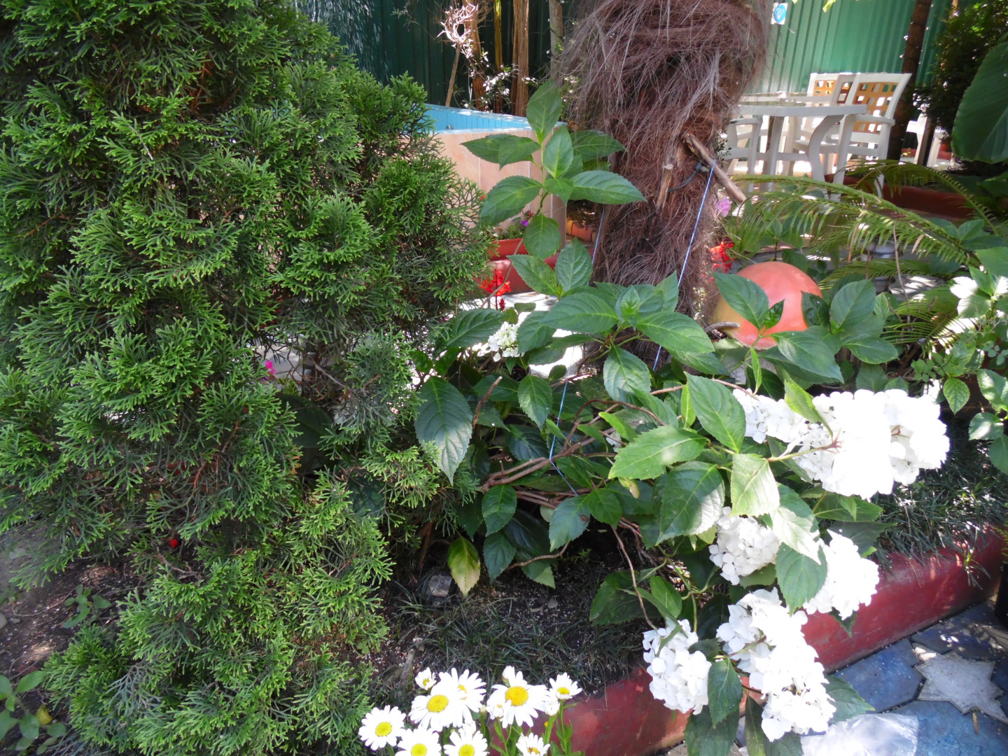 Гостевой дом Лазурный Бриз