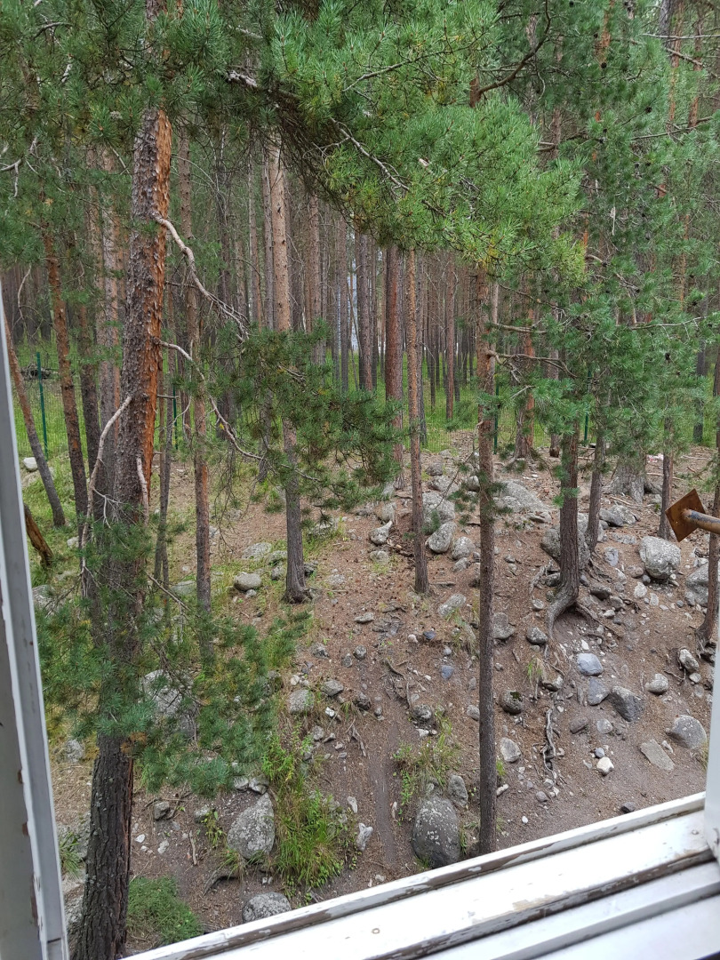 Апартаменты