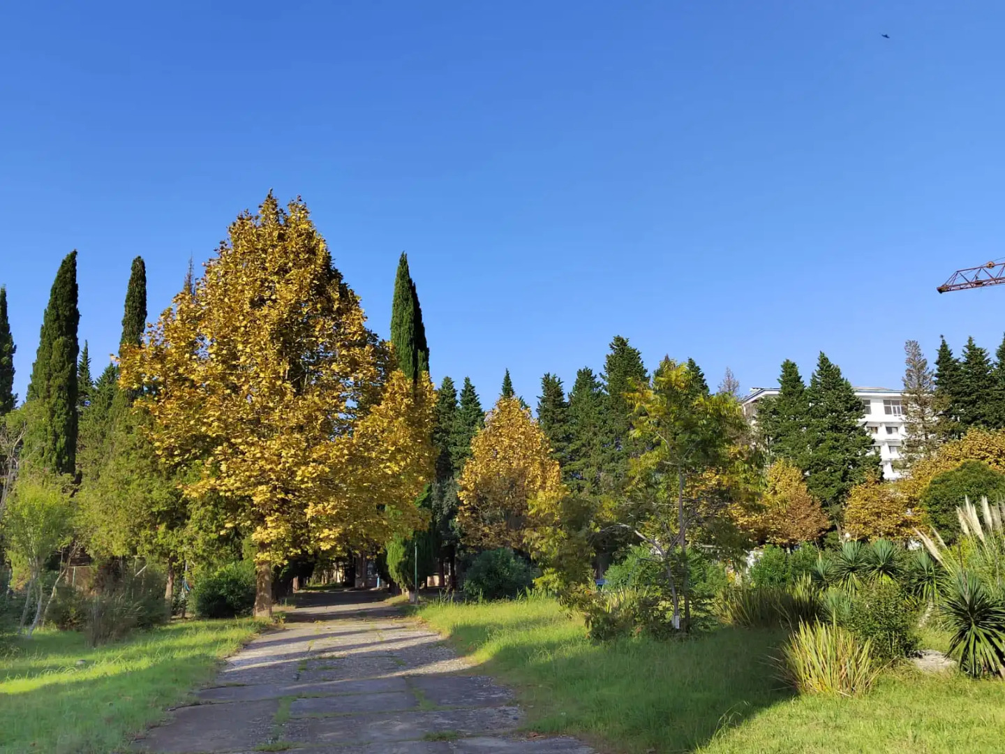 Курортный отель Дом отдыха "Псоу"