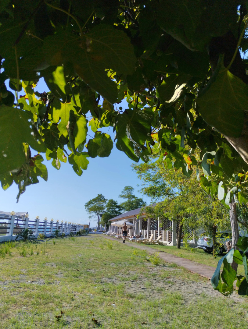 Курортный отель Verano