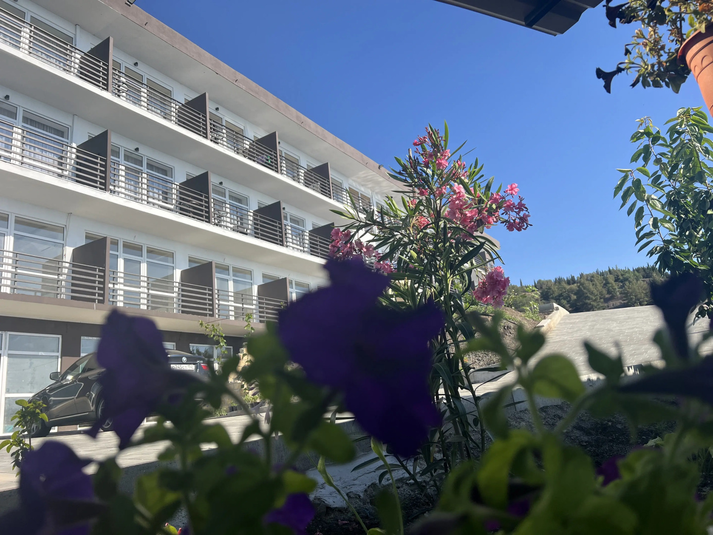 Гостевой дом Парнас