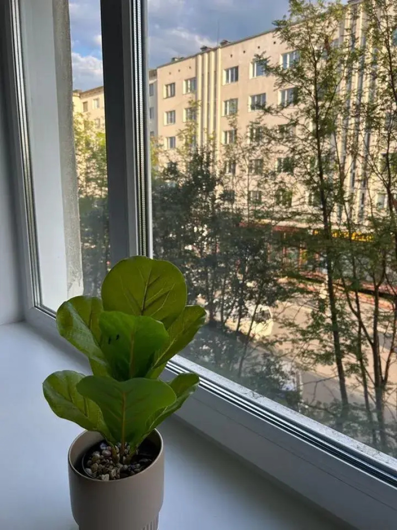 Квартира Белый Медведь на Дзержинского 8