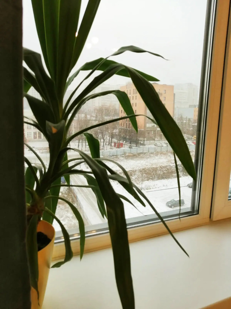 Апартаменты Инские Холмы 715