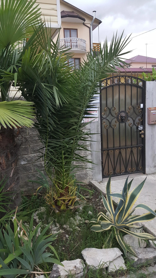 Гостевой дом Надежда