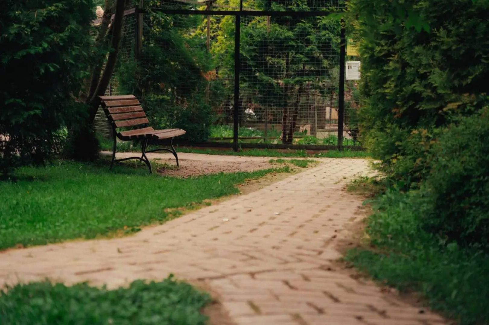 Отель Парк Птиц