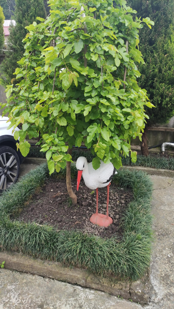 Гостевой дом Есения