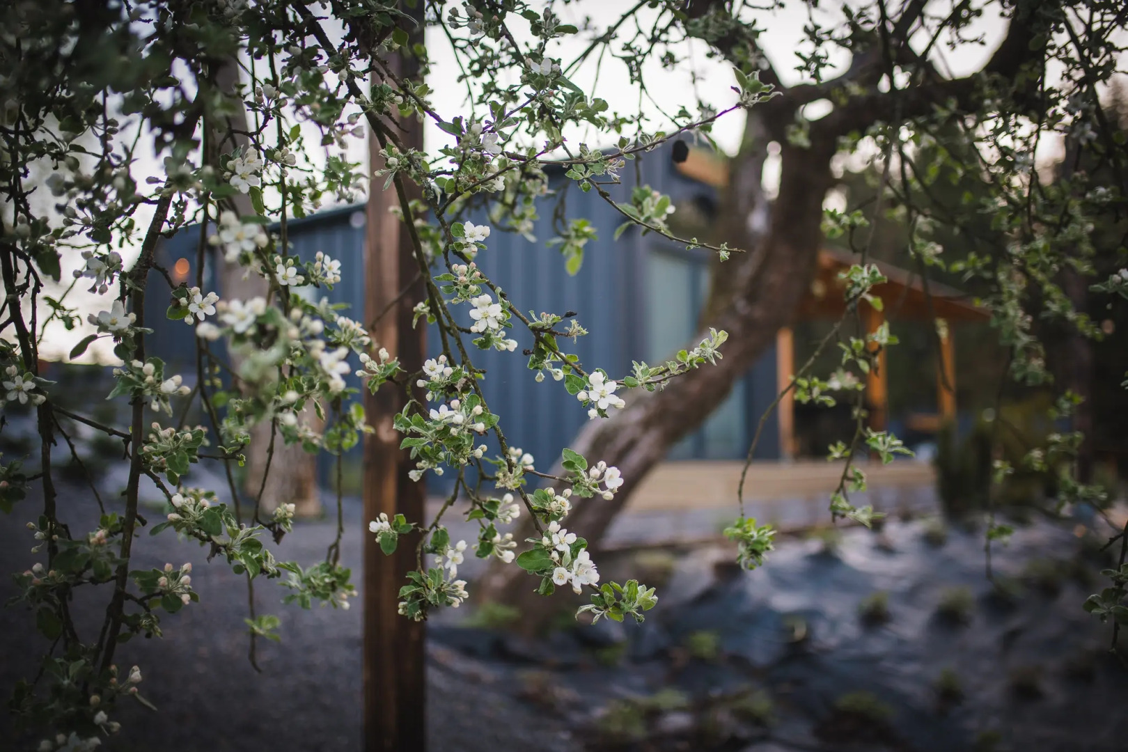 Глэмпинг Stare Sady Kopytówka Domki pod Krakowem