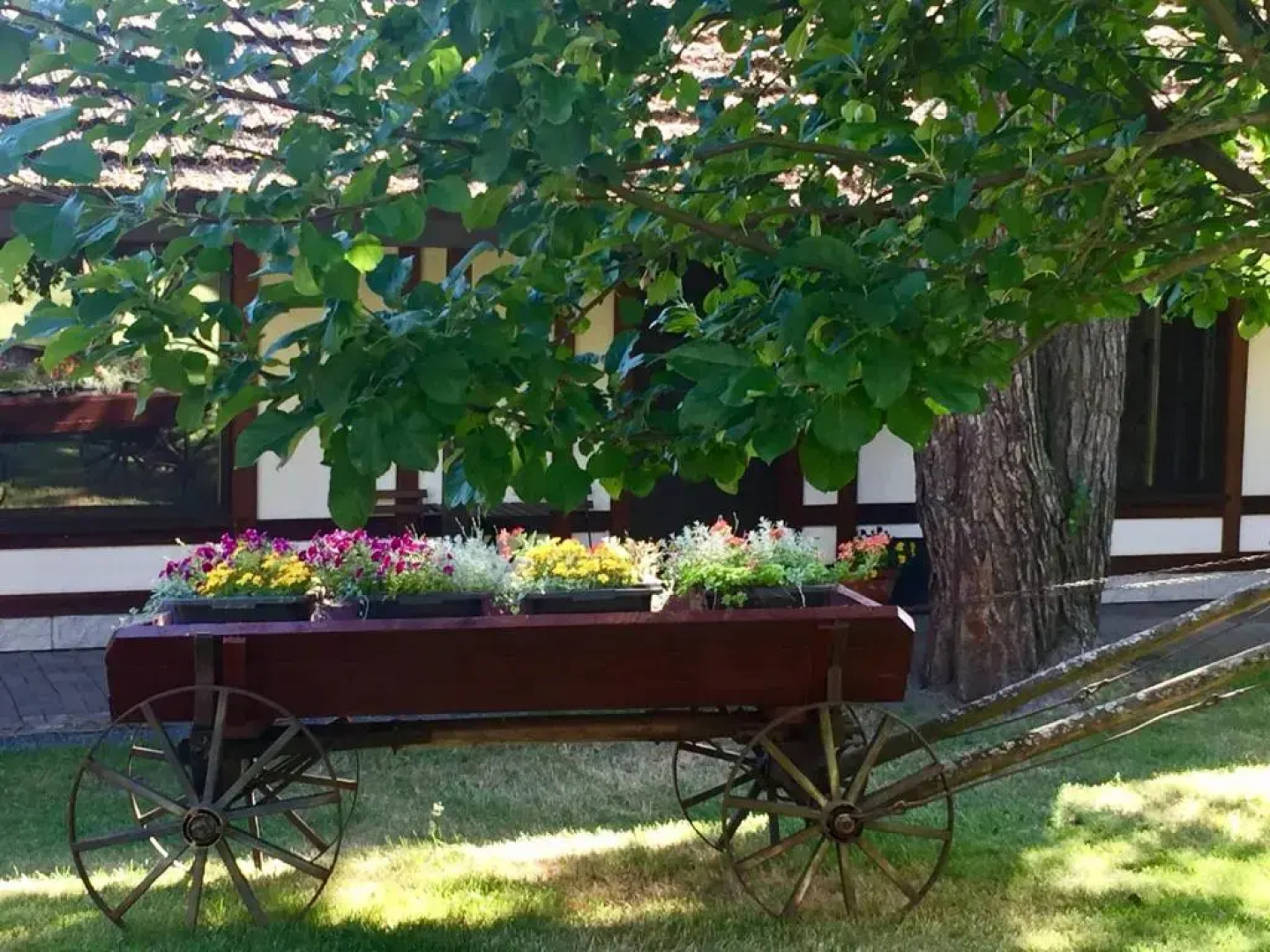 Гостевой дом Форест грин