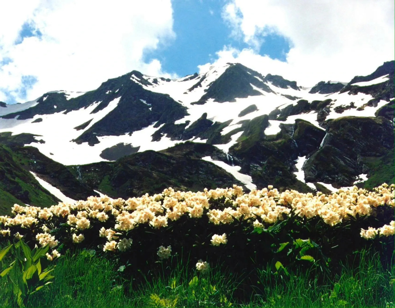 Ферма Колхидские Ворота