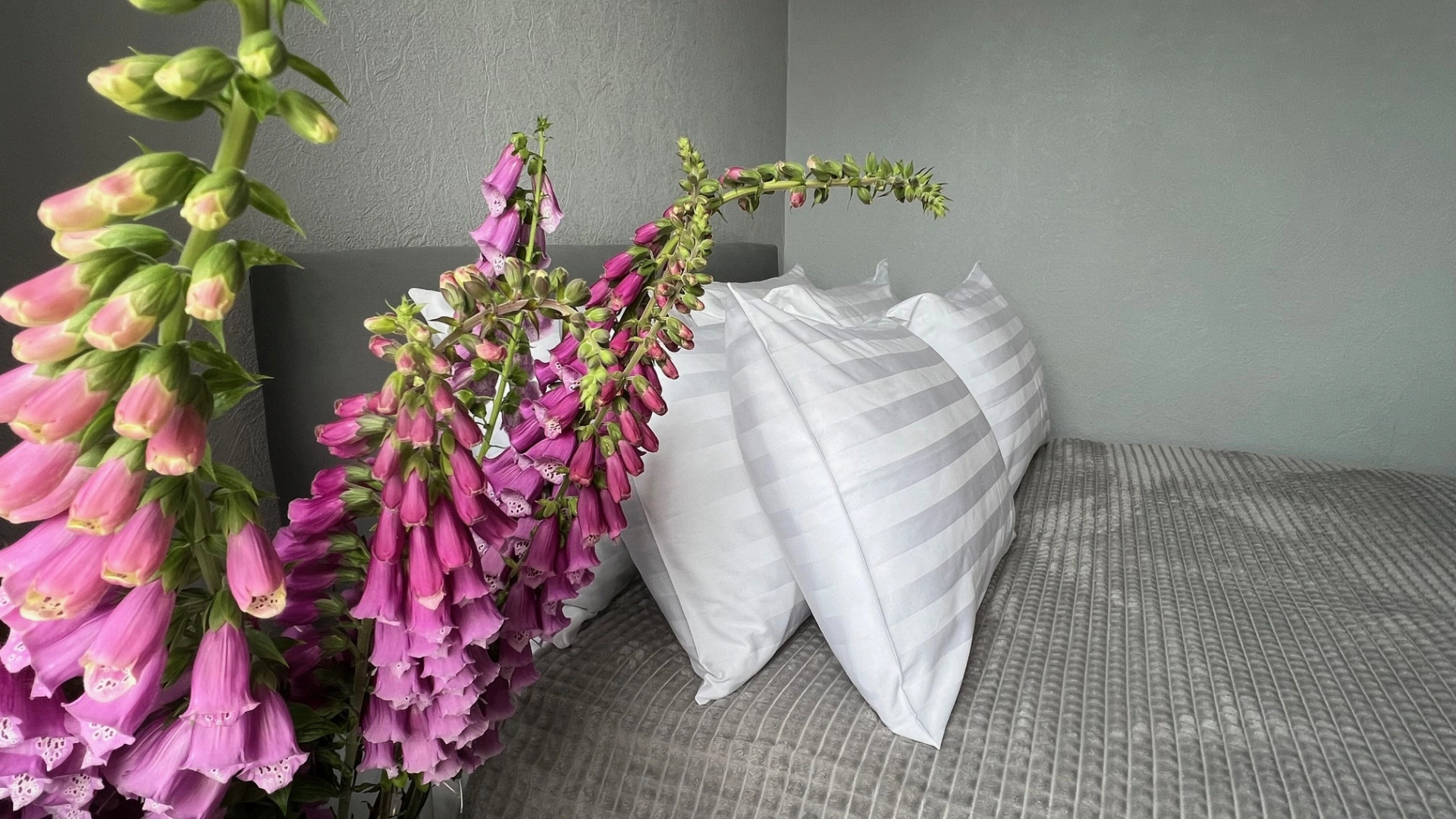 Апартаменты на Краснофлотской с видом на замок