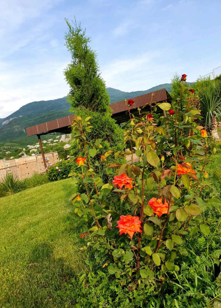 Гостевой дом Ijevan's Garden