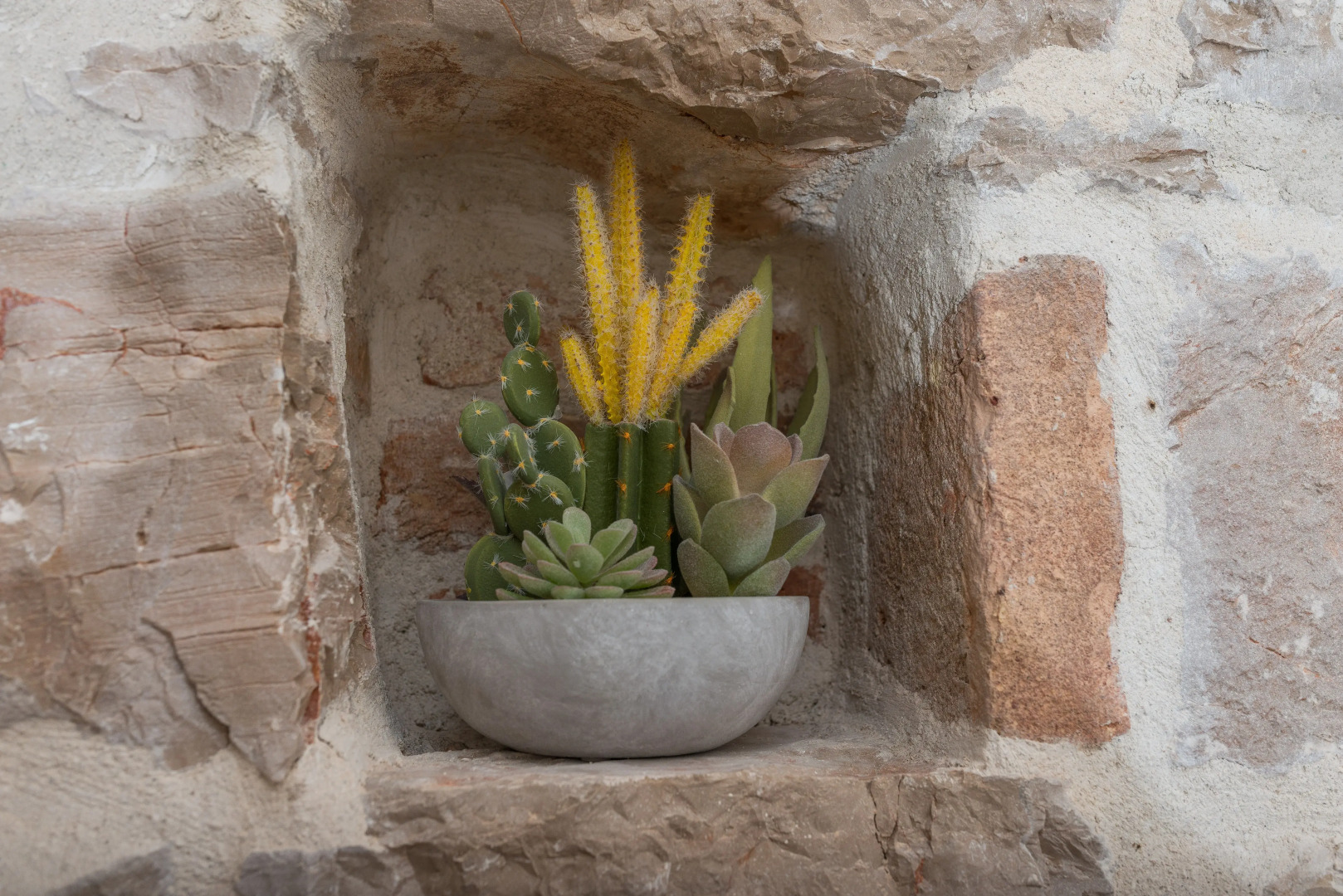 Zara Palace - design rooms