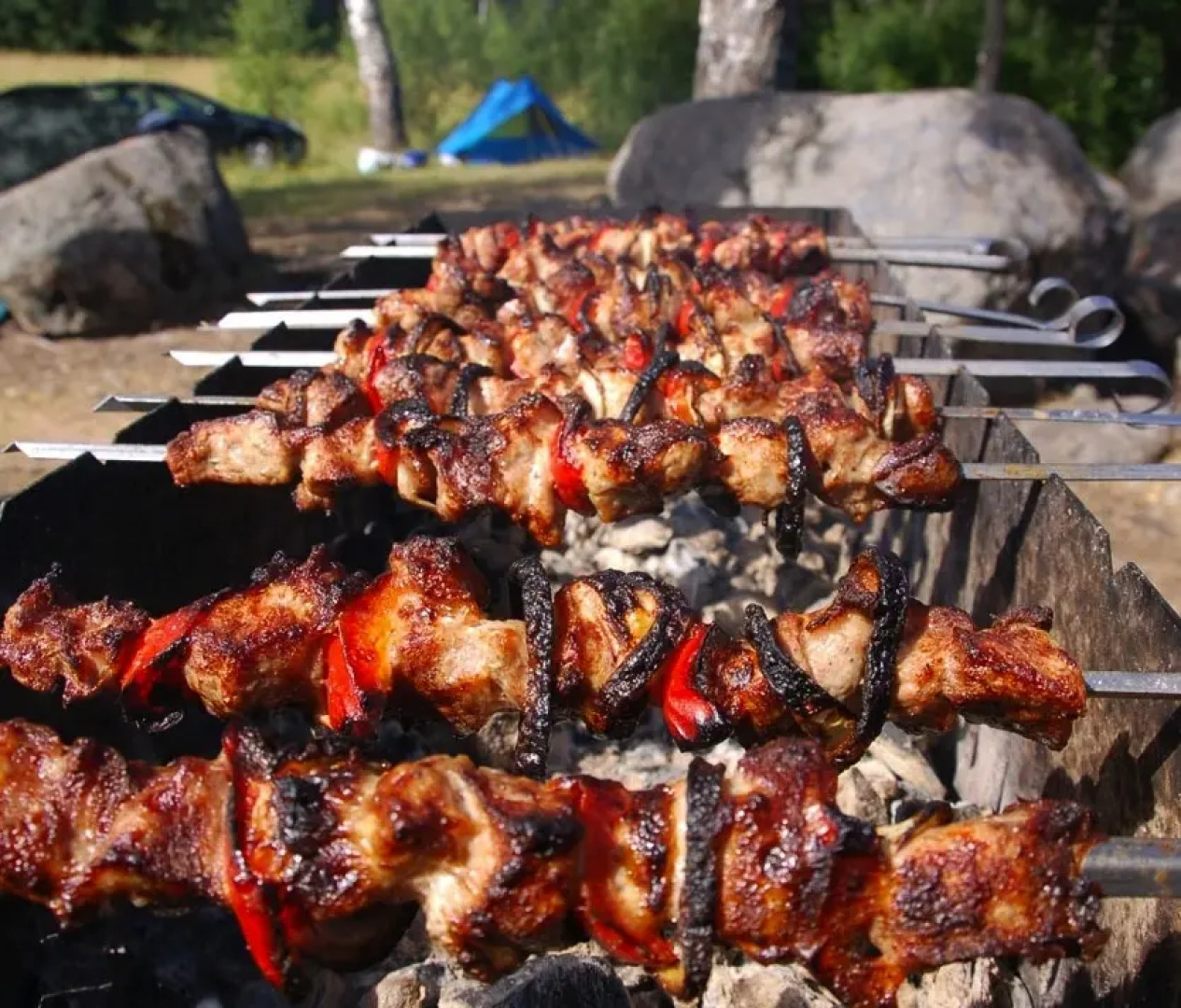 Мини-Отель Арфа