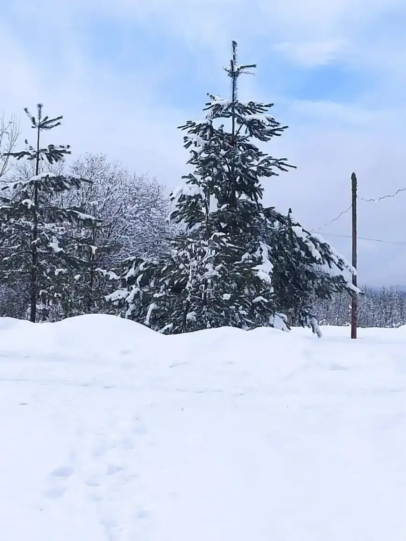 Звездная Долина