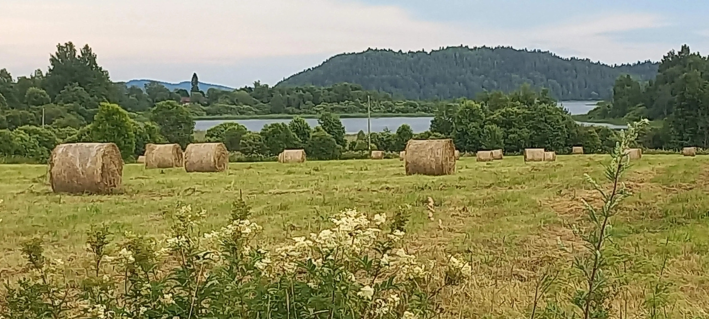 Частный дом Тихий Каньон