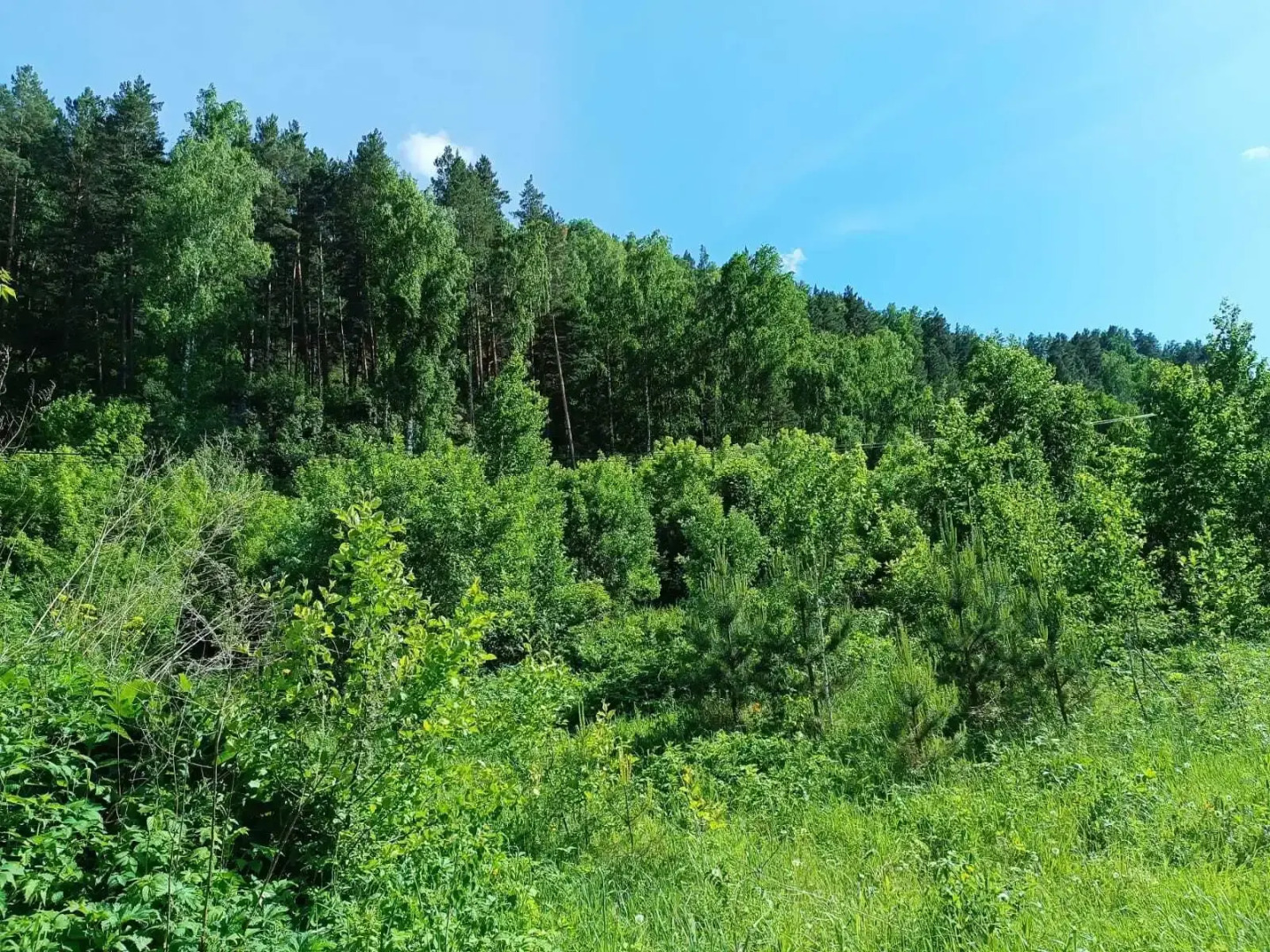 Гостевой дом 3 Emirell Altai на улице Горной 2