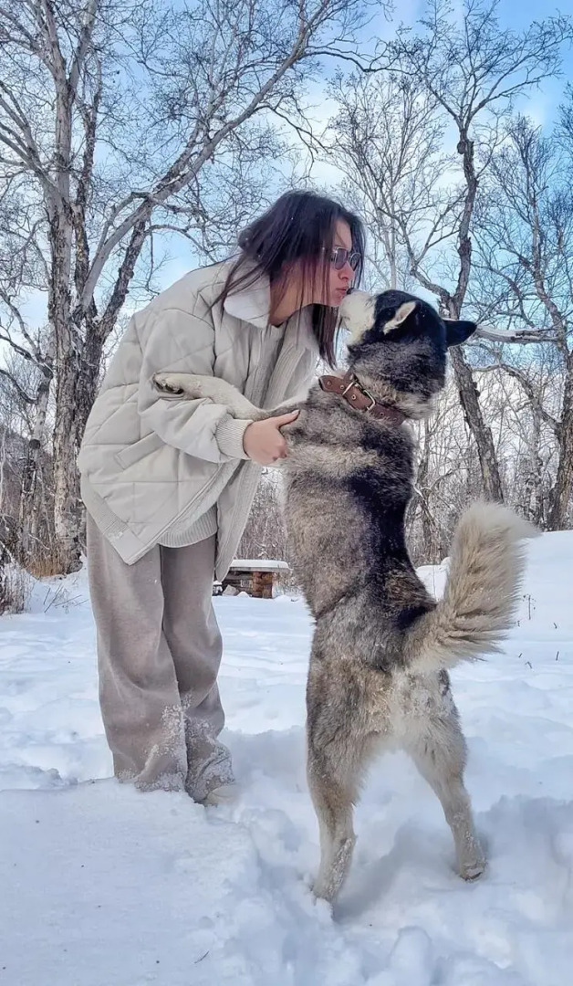 Коттеджи Горячая сопка