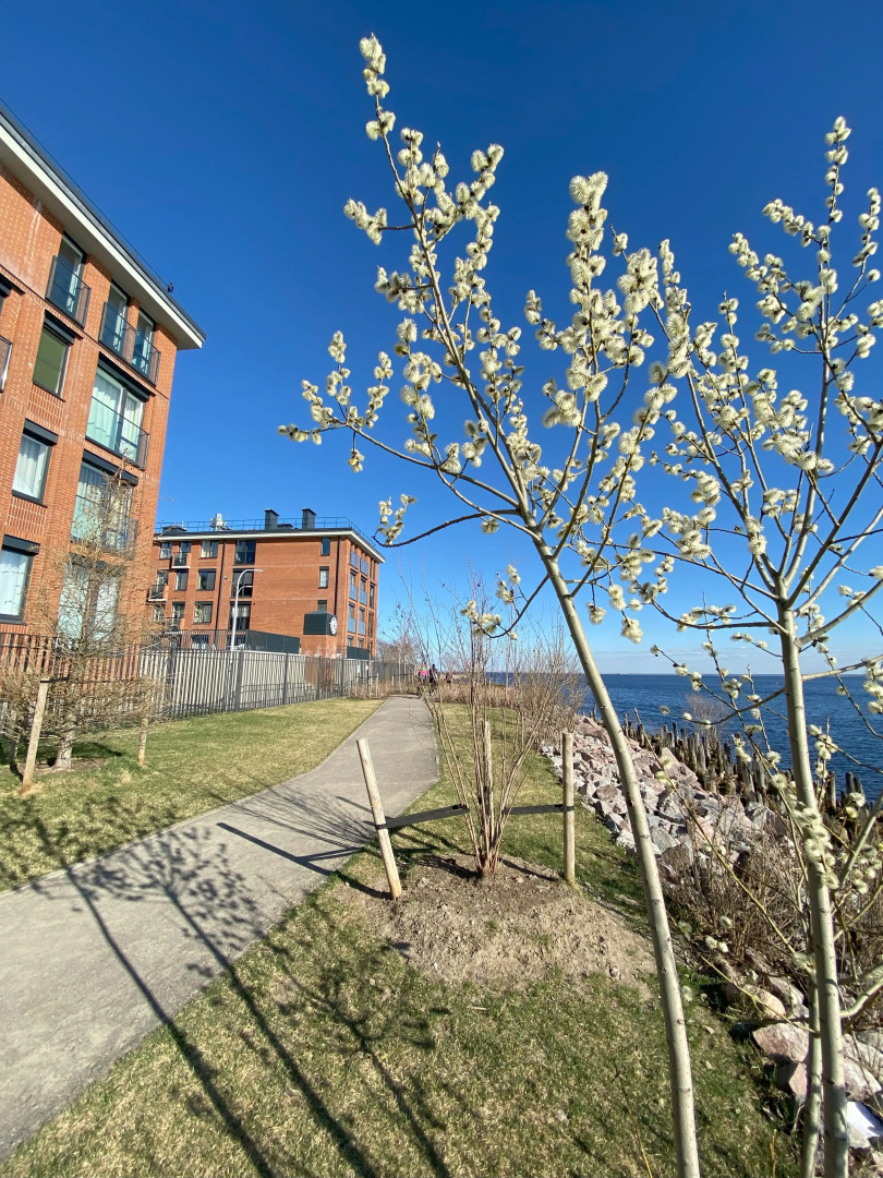 Апартаменты в ЖК Фортеция