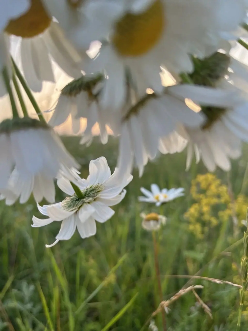Частный дом Дизайнерский Барнхаус