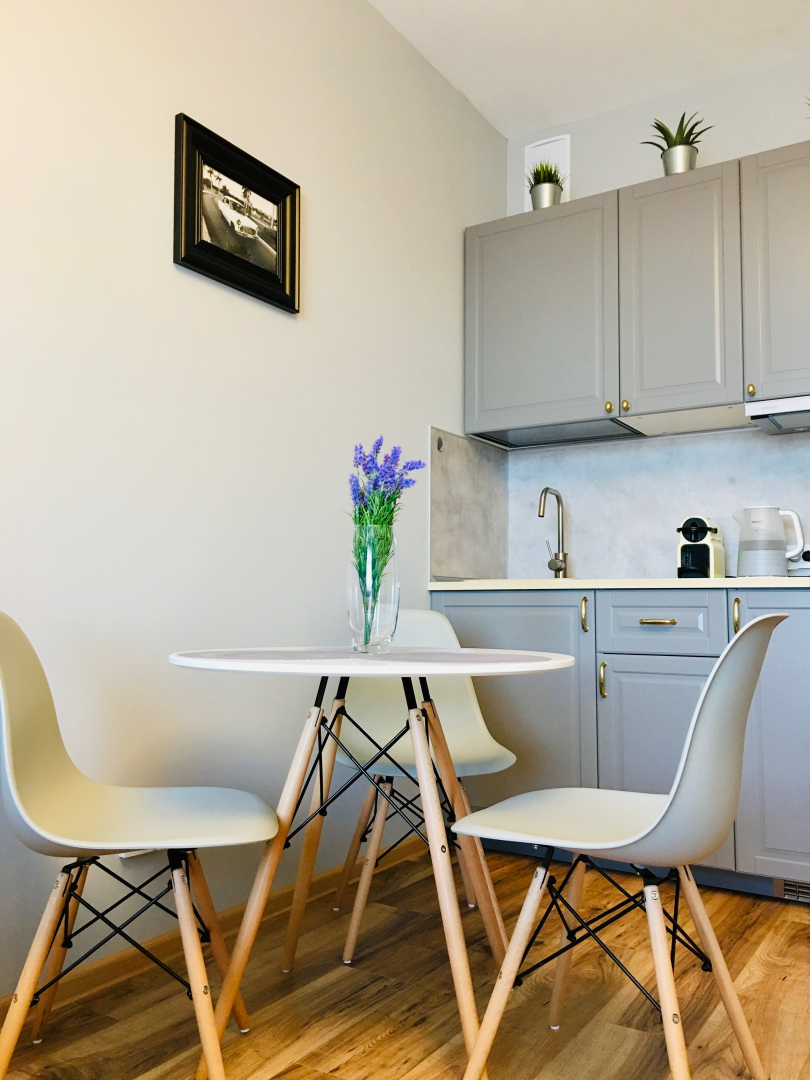 Апартаменты Elagin Studio 1