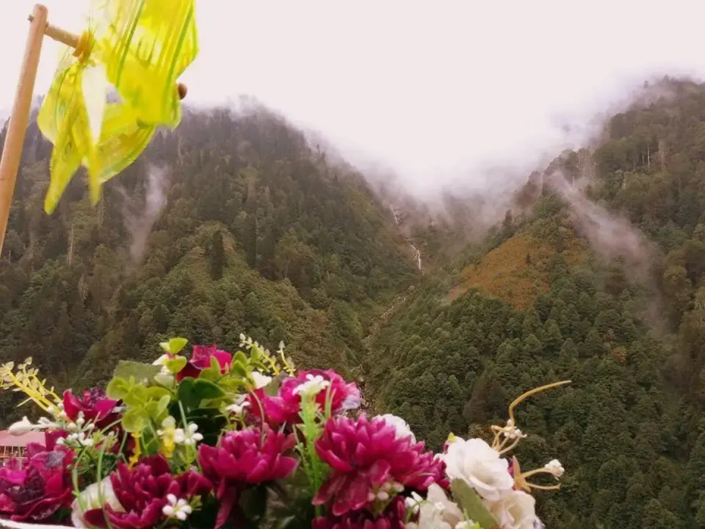 Отель Ayder Doga Resort