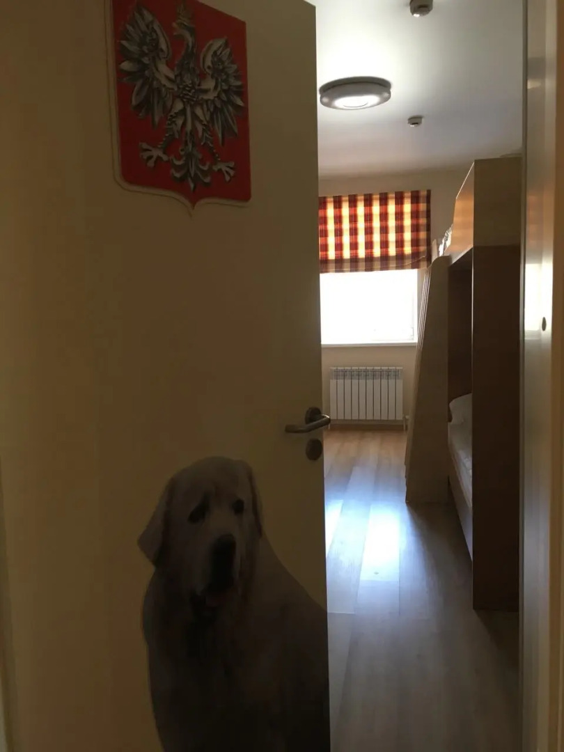 Мини-Отель Вокзал Кострома Сырная