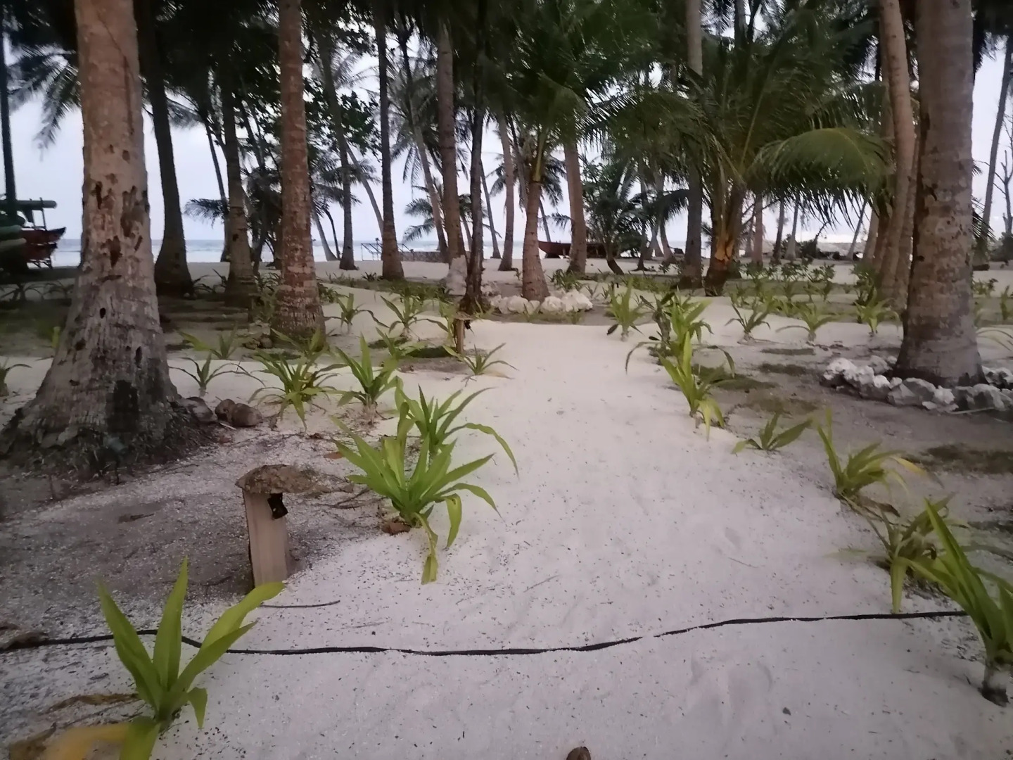 Island Luxury Boutique Hotel, Fulhadhoo