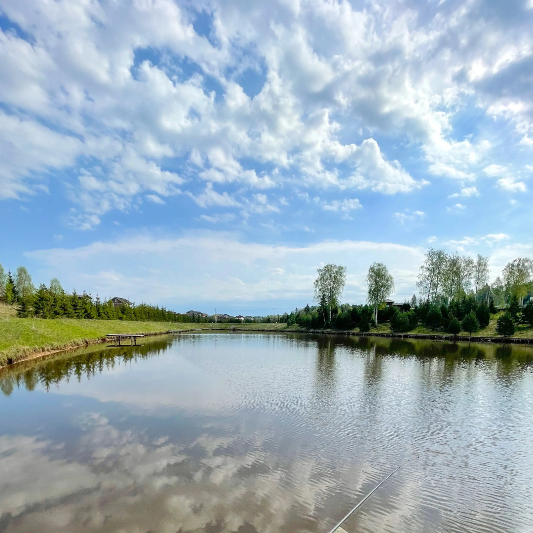 Частный дом Zagorod Moskva